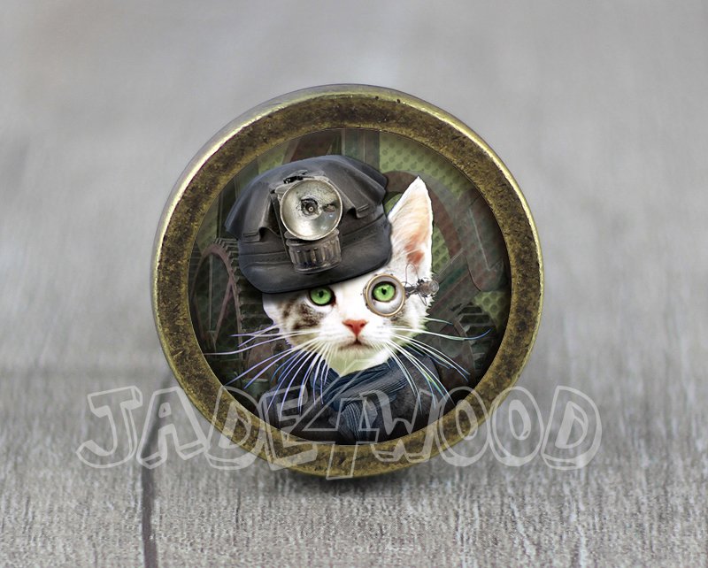 Cat Glass Cabochon Bronze cabinet Dresser Knobs pull / Dresser Pull