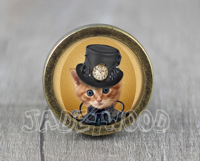 Cat Glass Cabochon Bronze cabinet Dresser Knobs pull / Dresser Pull