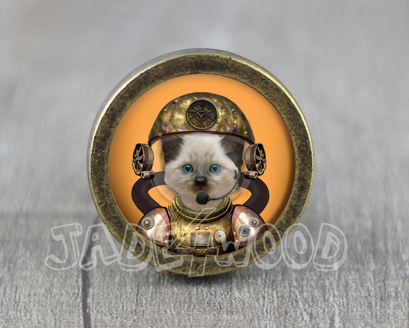 Cat Glass Cabochon Bronze cabinet Dresser Knobs pull / Dresser Pull