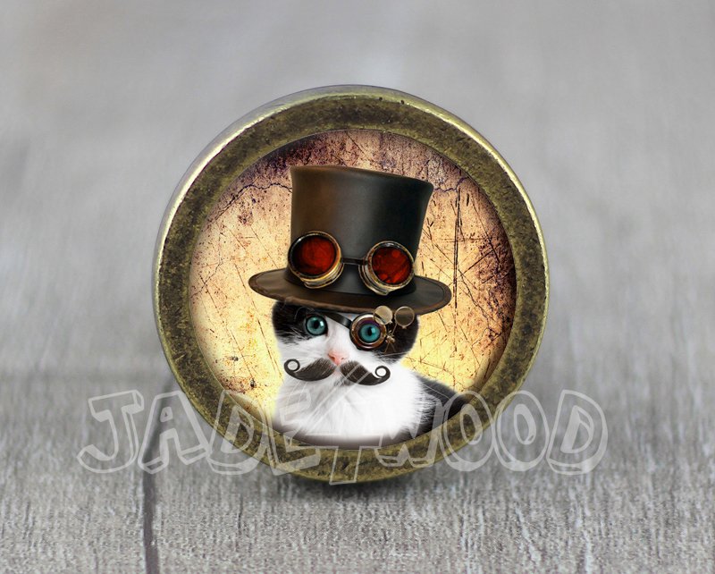 Cat Glass Cabochon Bronze cabinet Dresser Knobs pull / Dresser Pull