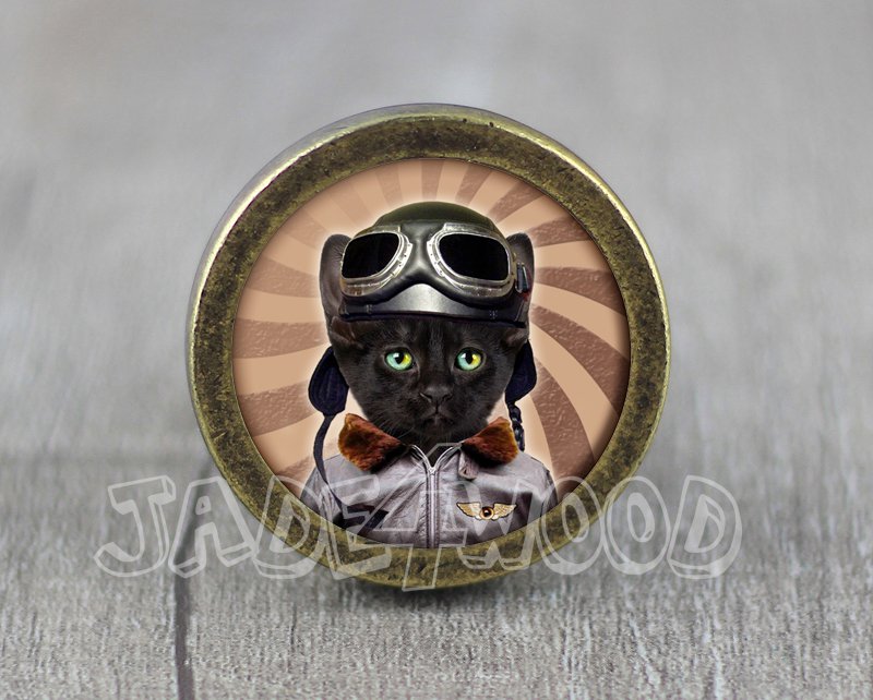 Cat Glass Cabochon Bronze cabinet Dresser Knobs pull / Dresser Pull