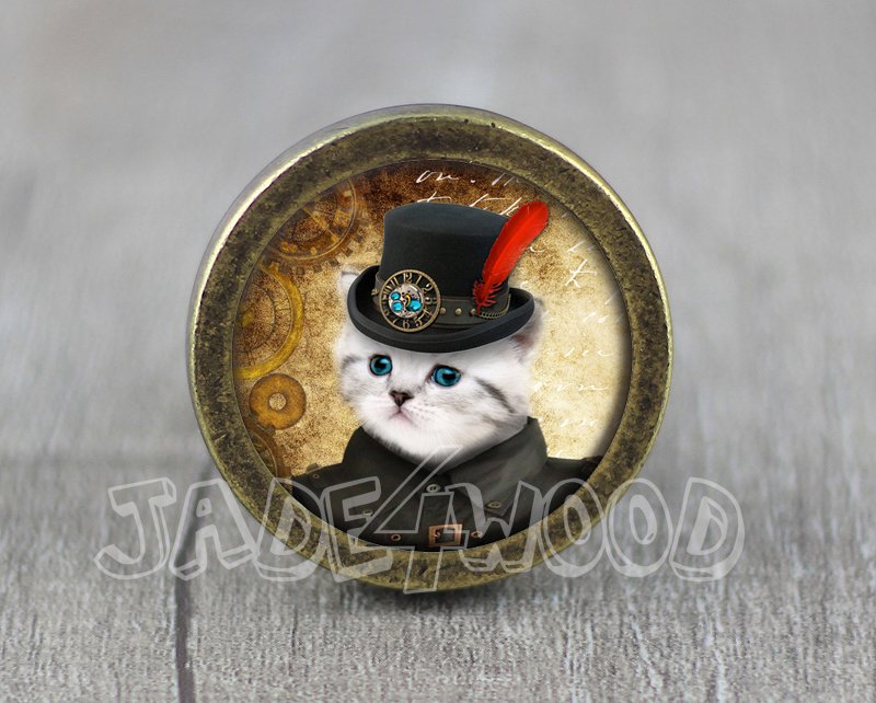 Cat Glass Cabochon Bronze cabinet Dresser Knobs pull / Dresser Pull