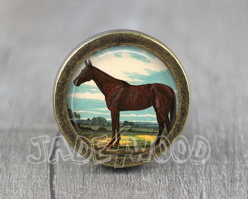 Horse Glass Cabochon Bronze cabinet Dresser Knobs pull / Dresser Pull