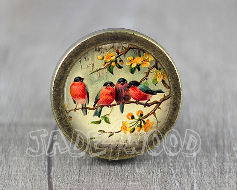 Bird Glass Cabochon Bronze cabinet Dresser Knobs pull / Dresser Pull