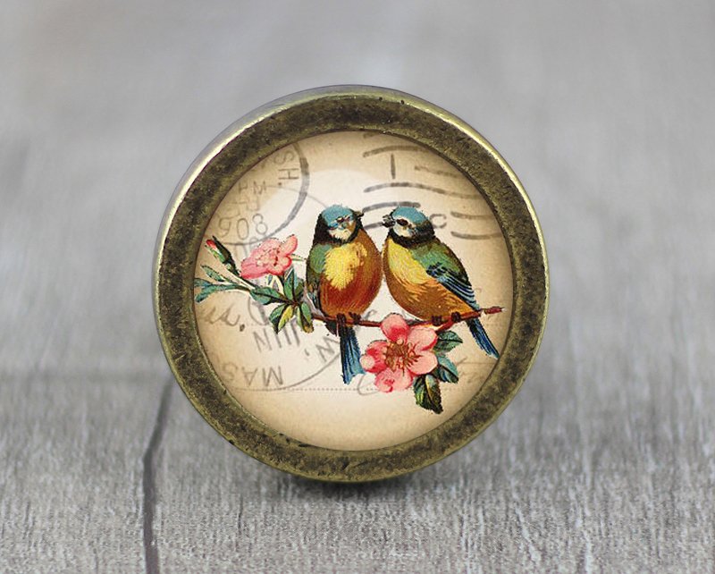 Bird Glass Cabochon Bronze cabinet Dresser Knobs pull / Dresser Pull