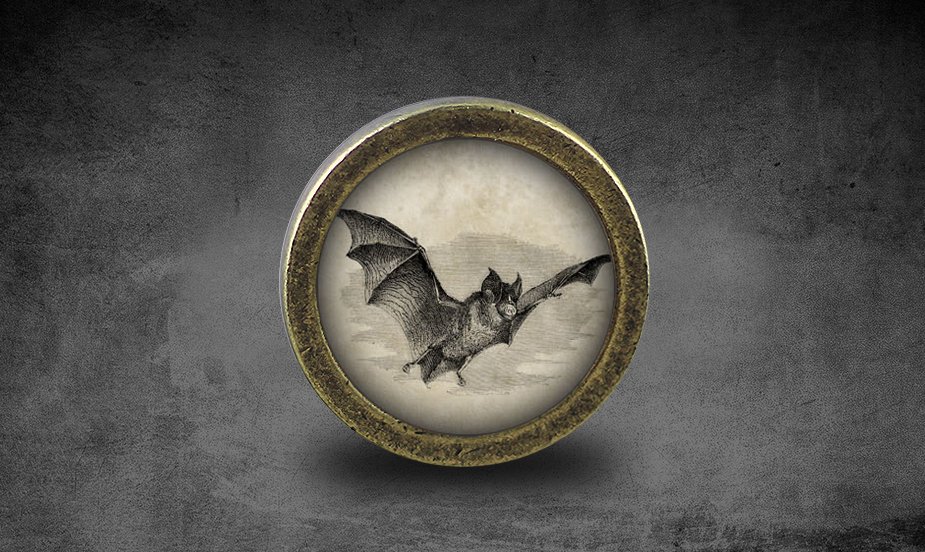 Bat Glass Cabochon Bronze cabinet Dresser Knobs pull / Dresser Pull