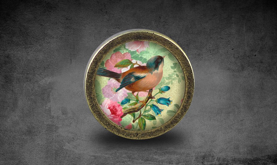 Bird Glass Cabochon Bronze cabinet Dresser Knobs pull / Dresser Pull