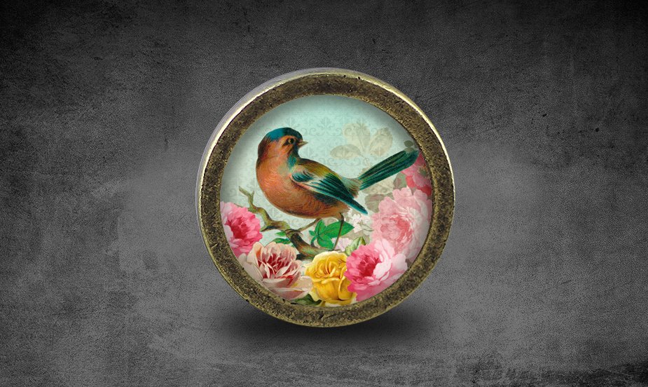 Bird Glass Cabochon Bronze cabinet Dresser Knobs pull / Dresser Pull