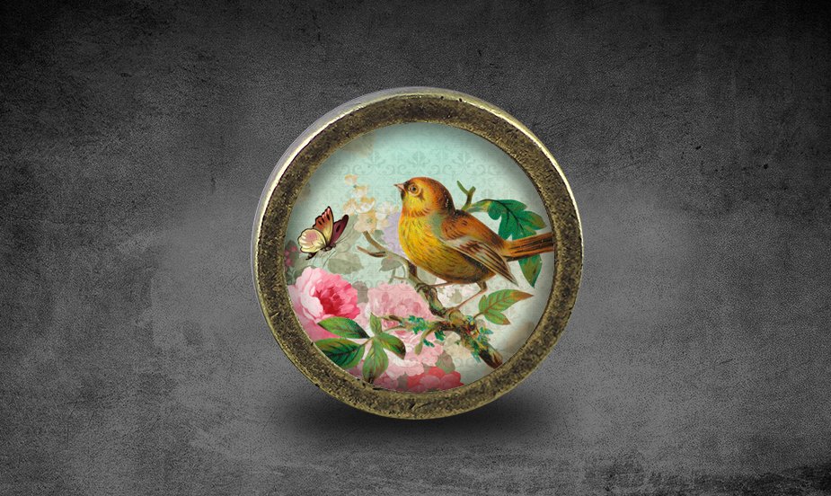 Bird Glass Cabochon Bronze cabinet Dresser Knobs pull / Dresser Pull
