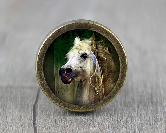 Horse Glass Cabochon Bronze cabinet Dresser Knobs pull / Dresser Pull