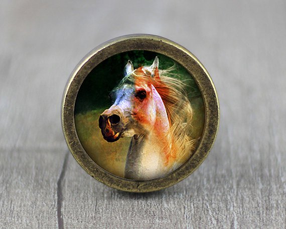 Horse Glass Cabochon Bronze cabinet Dresser Knobs pull / Dresser Pull