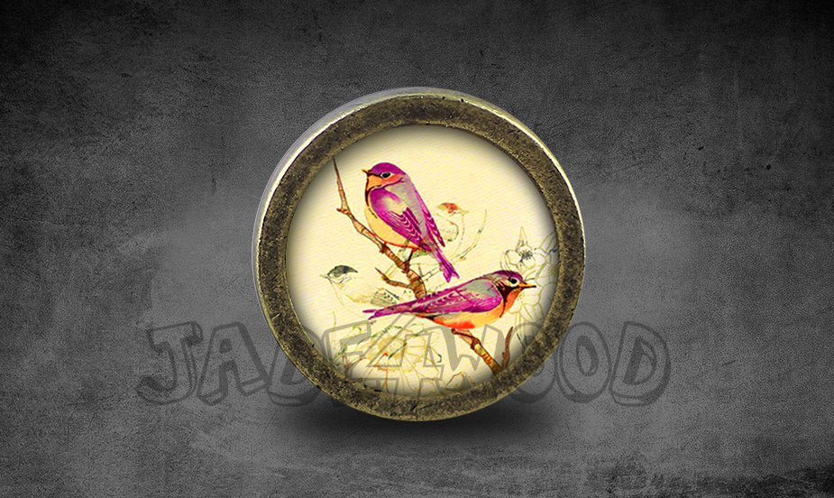 Bird Glass Cabochon Bronze cabinet Dresser Knobs pull / Dresser Pull
