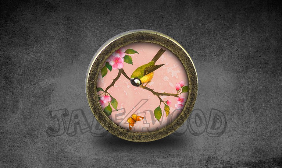 Bird Glass Cabochon Bronze cabinet Dresser Knobs pull / Dresser Pull