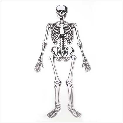 Skeleton Floor Puzzle