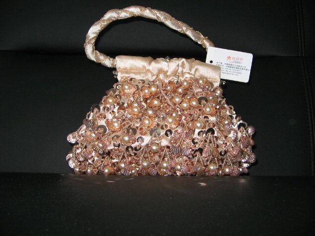 Beaded Embroidery purse