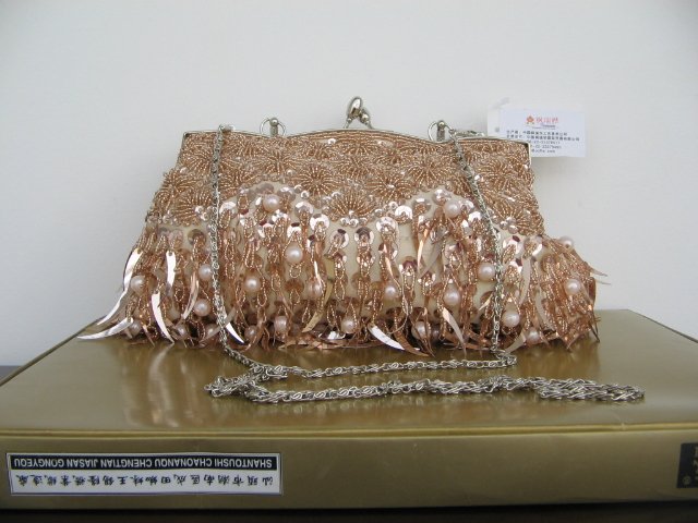 Beaded Embroidery purse -2