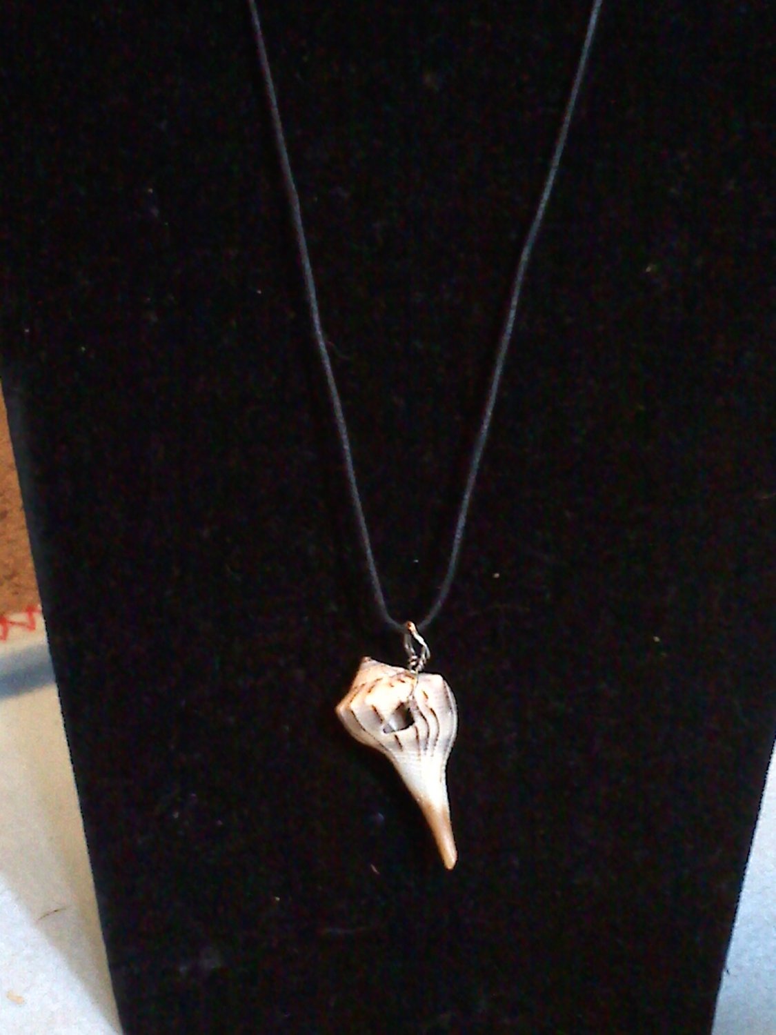 Shell necklace