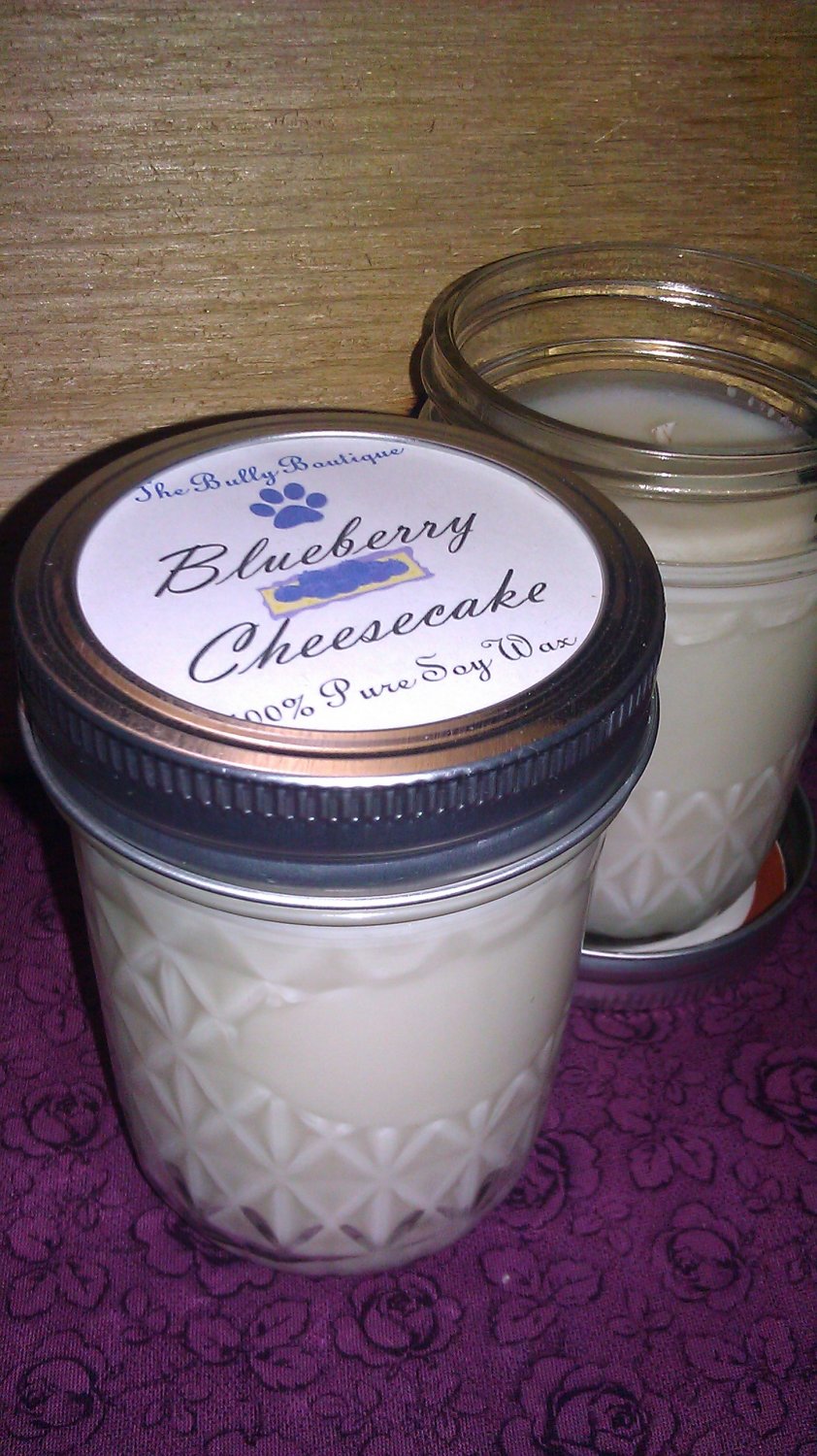 Blueberry Cheesecake Scent - 8oz