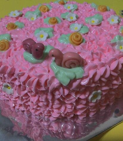 Snail Garden