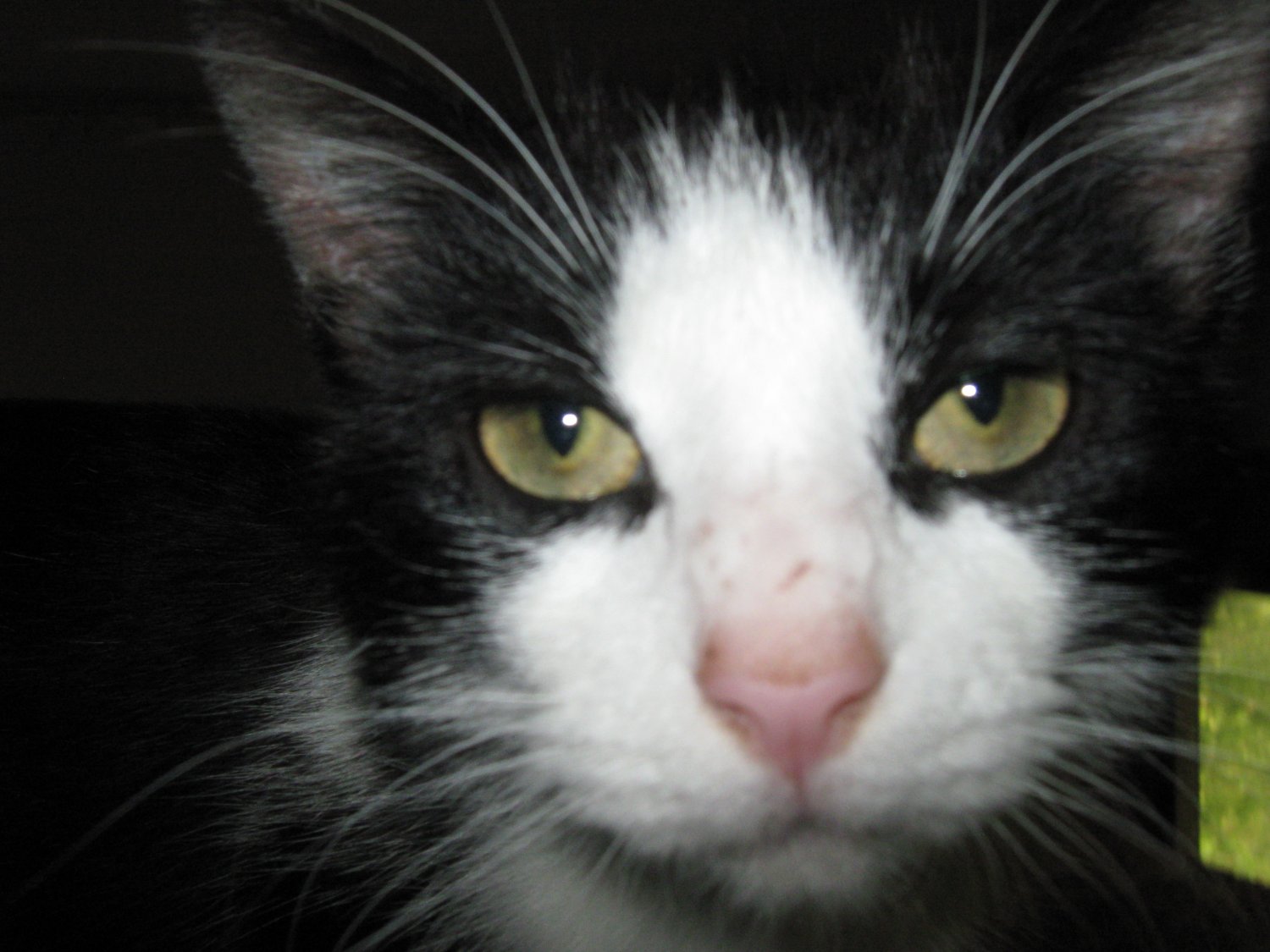 Tux