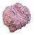 Fuschia - 1 Ounce