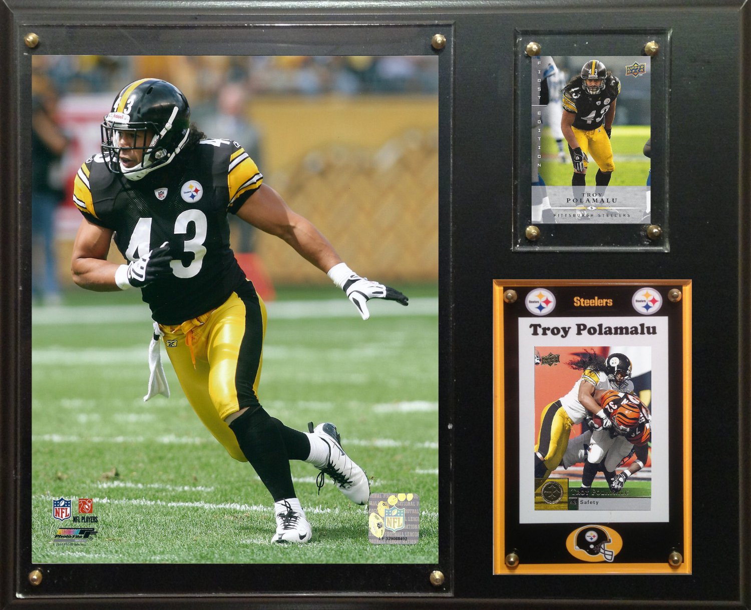 Troy Polamalu Pittsburgh Steelers Photo Plaque.