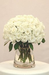 Gloria 1 dozen