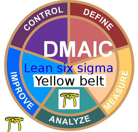 Operational Excellence at Pfizer - Lean Six Sigma Yellow Belt training + YB Case Studies e-books