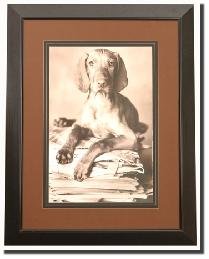 DOG ARTWORK