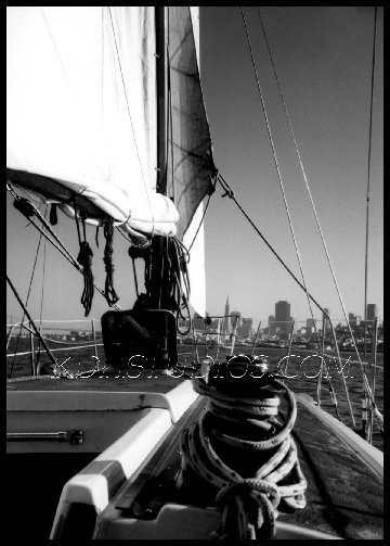 Sailing - SanFrancisco Bay