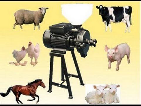Electric Animal Poultry Feed Mill Grinder Use Corn Grain Wheat Barley 1.5HP New