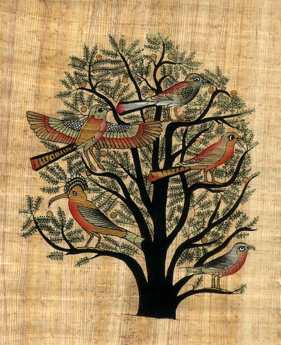 Tree of Life