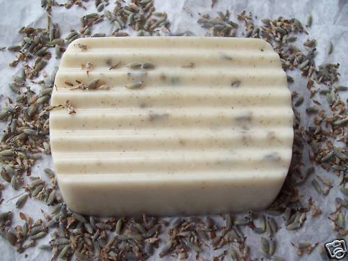 Goat Milk Handmade Man's Soap~LORD OF THE FOREST~ scent