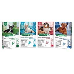 Advantage Dogs 6 pk 1 - 10 lbs.