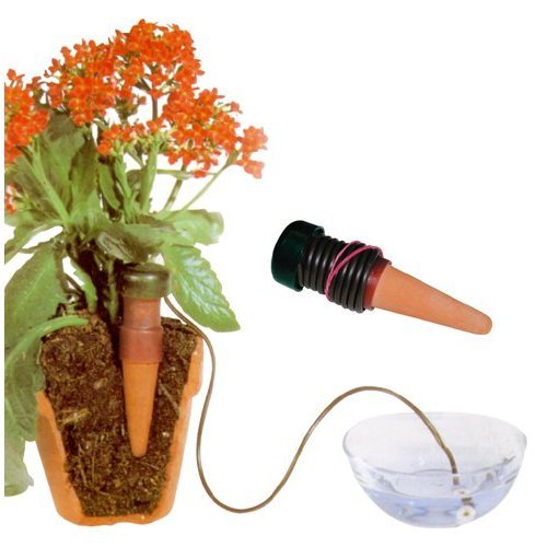 Self-Watering Probes - Vacation Plant Waterers - 24 Pack