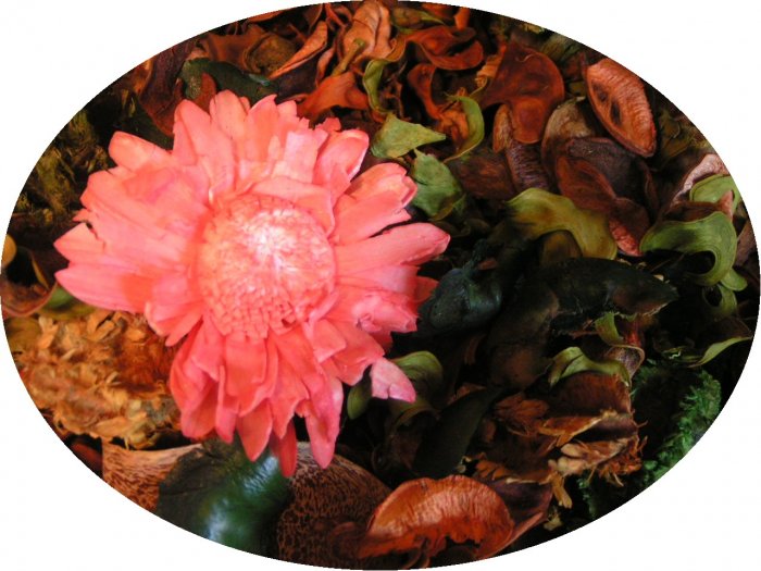 MANGO PEACH BOTANICAL POTPOURRI - FREE SHIPPING