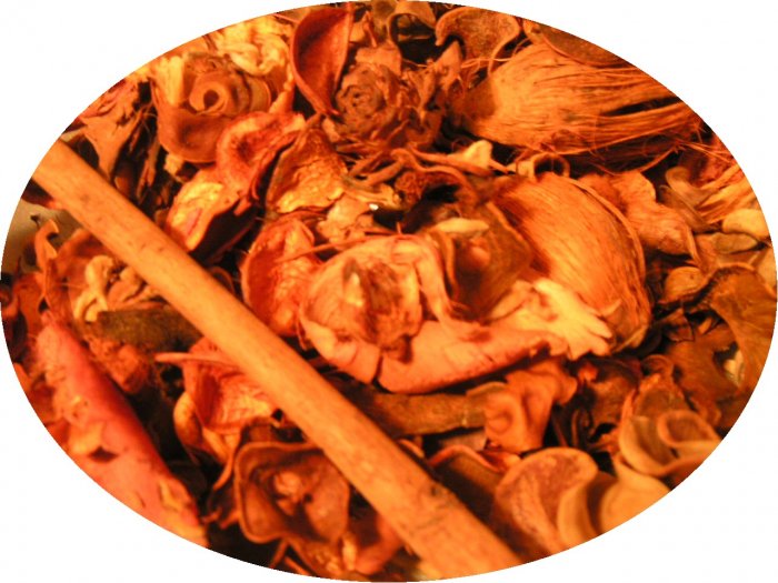 CINNAMON SPICE BOTANICAL POTPOURRI - FREE SHIPPING