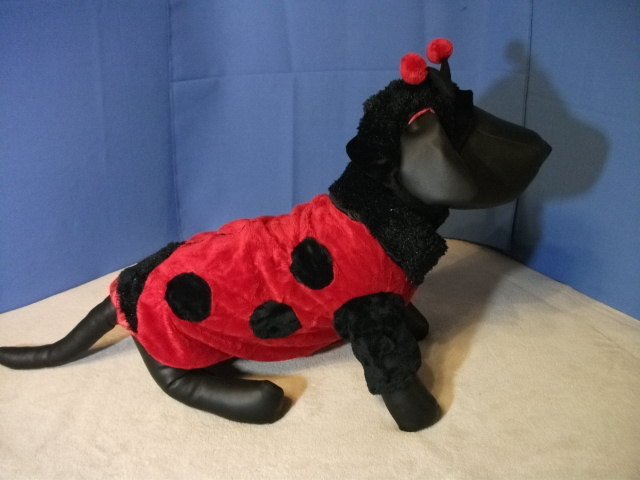Pet Costume: Ladybug for Dog - Size M