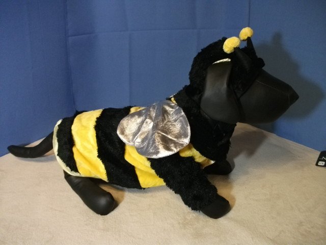Pet Costume: Bumblebee for Dog - Size L