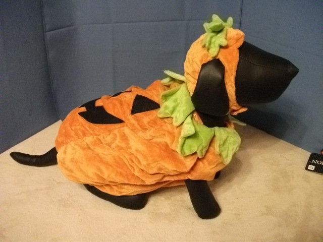 Pet Costume: Pumpkin for Dog - Size L