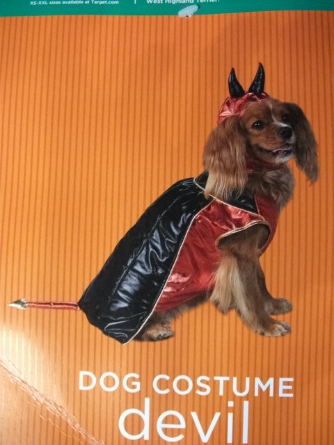 Dog Costume Devil - Size S