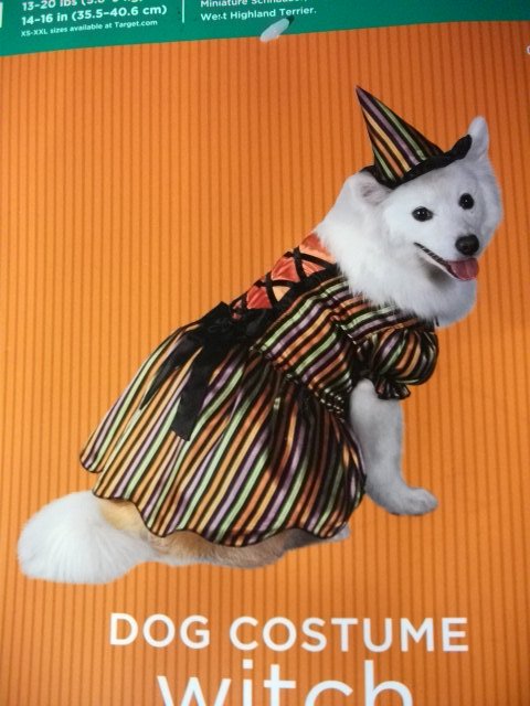 Dog Costume Witch - Size M