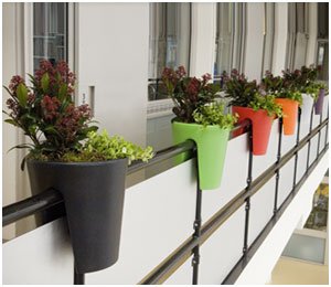 Colourful Planters