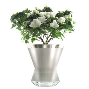 Self- Watering Planter
