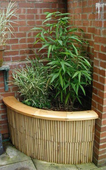 Bamboo Corner Planter