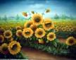 Field of Sunflowers