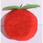 Strawberry Terry Sponge