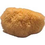 Natural Sea Sponge Small