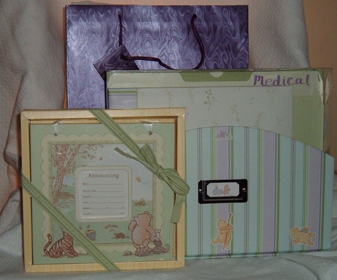 Classic Pooh Gift Set with 8x8 premade album