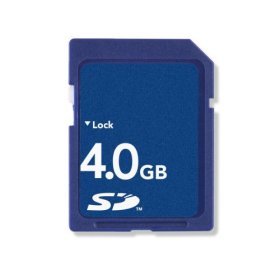 eeelectronics 4GB Class 10 SD Card